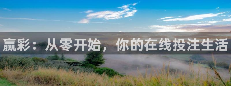壹号官方app下载安装：赢彩：从零开始，你的在线投注生活