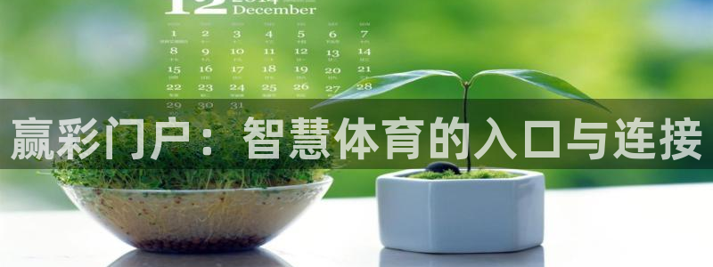 恩佐娱乐app网页入口：赢彩门户：智慧体育的入口与连接