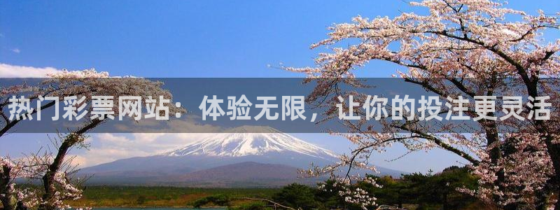 壹号app下载链接：热门彩票网站：体验无限，让你的投注更灵活