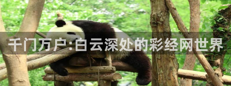 恩佐娱乐：千门万户:白云深处的彩经网世界